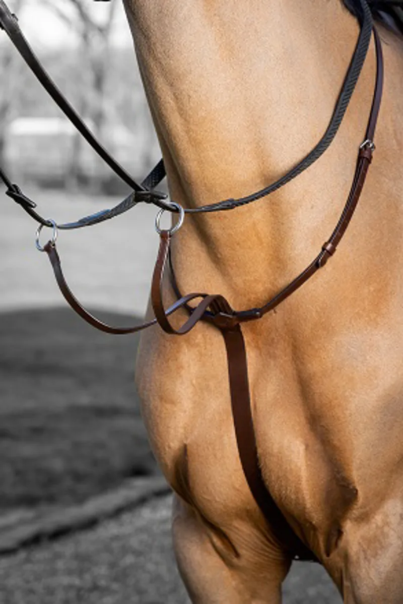 LeMieux Arika Running Martingale in Havana and Silver-1